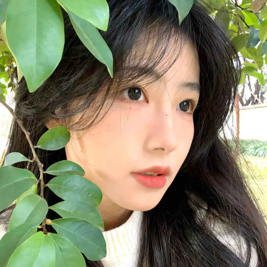 尝试第四季